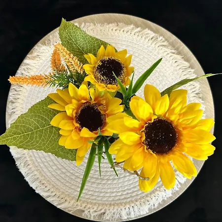 Cosy Vue Imprenable Aix Les Bains Apartman *