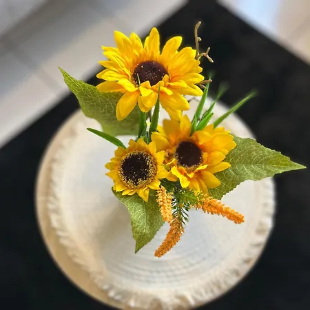 Cosy Vue Imprenable Aix Les Bains Aix-les-Bains