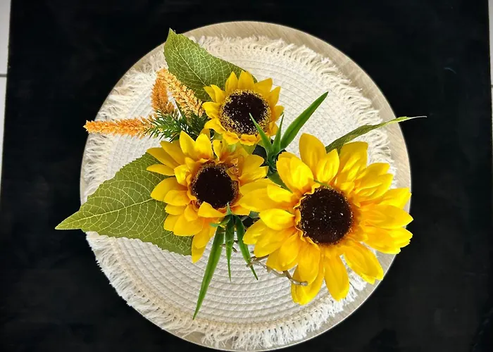 Cosy Vue Imprenable Aix Les Bains Apartment *